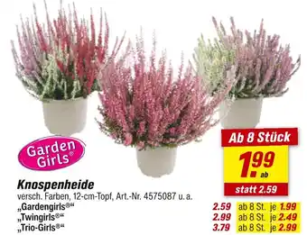 toom Baumarkt Knospenheide garden girls Angebot