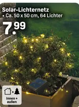Rossmann Solar-lichternetz Angebot
