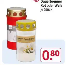 Rossmann Dauerbrenner rot Angebot