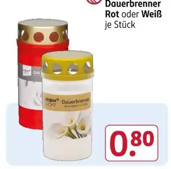Rossmann Dauerbrenner rot Angebot