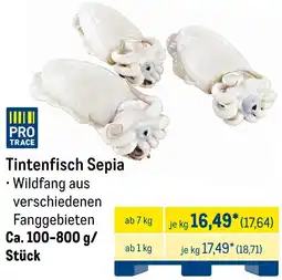METRO Tintenfisch Sepia Angebot