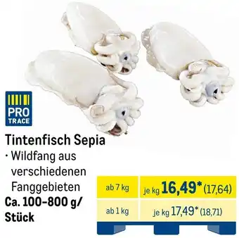 METRO Tintenfisch Sepia Angebot