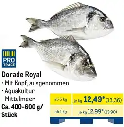 METRO Dorade Royal Angebot