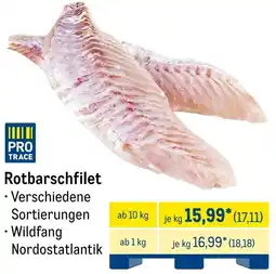 METRO Rotbarschfilet Angebot