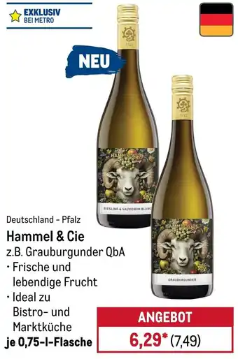 METRO Hammel & Cie Angebot