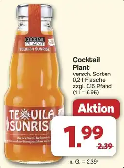 Famila Nord West Cocktail Plant Angebot