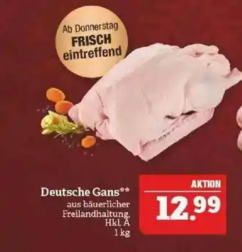 Marktkauf Deutsche Gans Angebot