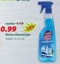 Hepsi-Markt Reinex Glasreiniger Angebot