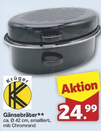 Famila Nord West Krüger Gänsebräter Angebot