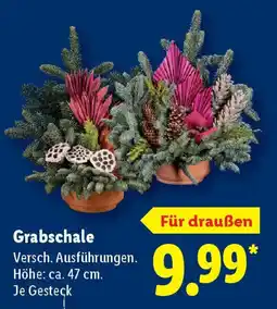 Lidl Grabschale Angebot