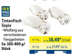 METRO Tintenfisch Sepia Angebot