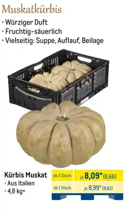 METRO Kürbis Muskat Angebot