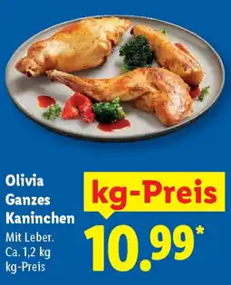 Lidl Olivia Ganzes Kaninchen Angebot
