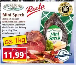 Norma Mini Speck Angebot