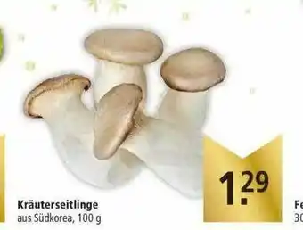 Marktkauf Kräuterseitlinge Angebot