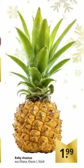 Marktkauf Baby Ananas Angebot