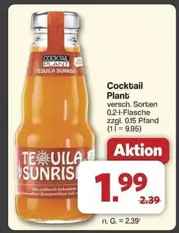 Famila Nord Ost Cocktail Plant Angebot