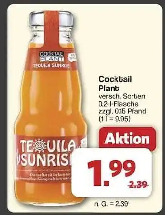 Famila Nord Ost Cocktail Plant Angebot
