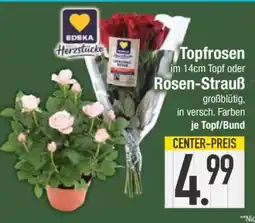 Edeka Topfrosen im 14cm Topf oder Rosen-Strauß Angebot