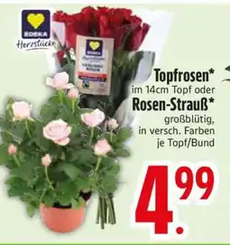Edeka Topfrosen oder Rosen-Strauß Angebot