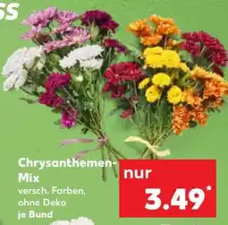 Kaufland Chrysanthemen-Mix Angebot