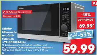 Kaufland YC-PG204AE-S Angebot