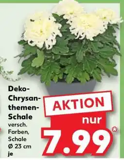 Kaufland Deko-Chrysanthemen-Schale Angebot