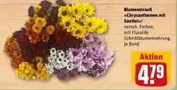 REWE Blumenstrauß Chrysanthemen mit Santini Angebot