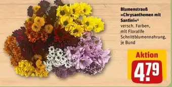 REWE Blumenstrauß Chrysanthemen mit Santini Angebot