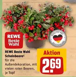 REWE REWE Beste Wahl Scheinbeere Angebot
