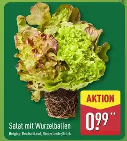 Aldi Nord Salat mit Wurzelballen Angebot