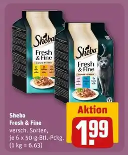 REWE Sheba Fresh & Fine Angebot