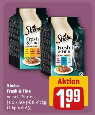 REWE Sheba Fresh & Fine Angebot