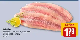 REWE Wels-Filet Angebot