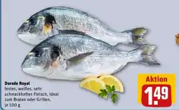 REWE Dorade Royal Angebot