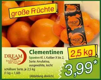 Norma Clementinen Angebot