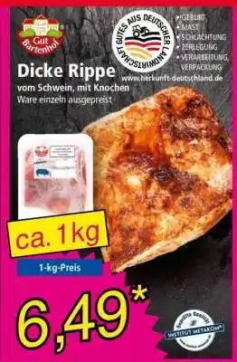 Norma Dicke Rippe Angebot