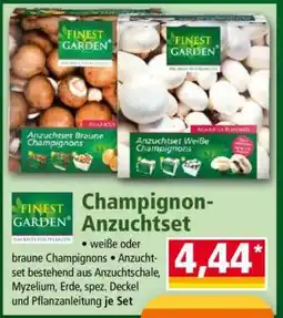 Norma Champignon Anzuchtset Angebot