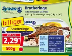 Norma Bratheringe Angebot