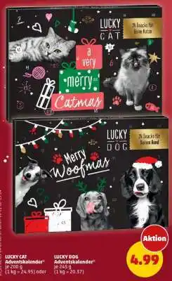 PENNY LUCKY CAT Adventskalender Angebot