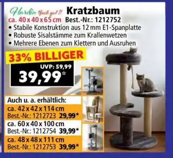Norma Kratzbaum Angebot