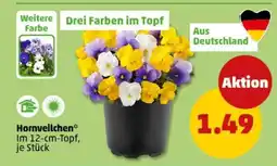 PENNY Hornveilchen Angebot
