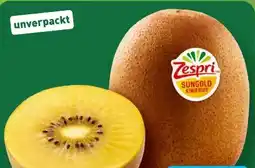Aldi Nord Zespri Kiwi Sun Gold Angebot