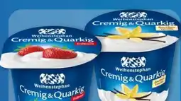 Aldi Nord Weihenstephan Fruchtquark Angebot