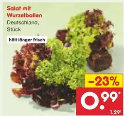 Netto Marken-Discount Salate mit Wurzelballen Angebot