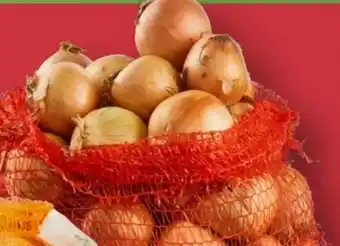 Aldi Nord Zwiebeln Angebot