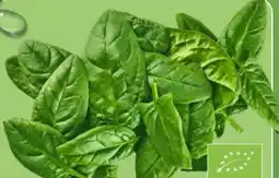 Aldi Nord Bio Spinat Angebot