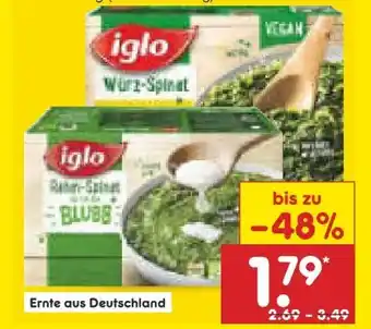 Netto Marken-Discount Iglo Würz-Spinat Angebot