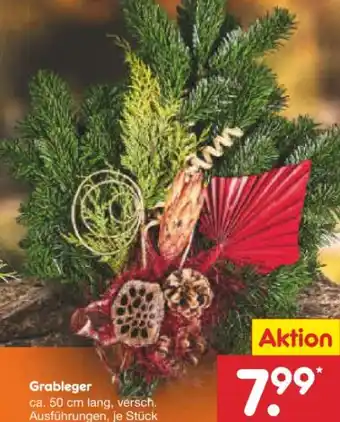 Netto Marken-Discount Grableger Angebot