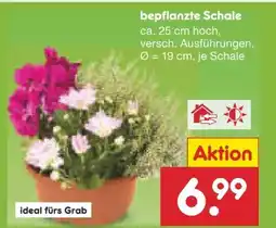 Netto Marken-Discount Bepflanzte Schalen Angebot